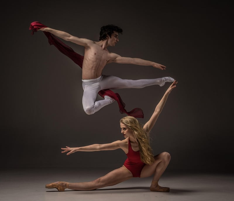 Ballet Fusion Image
